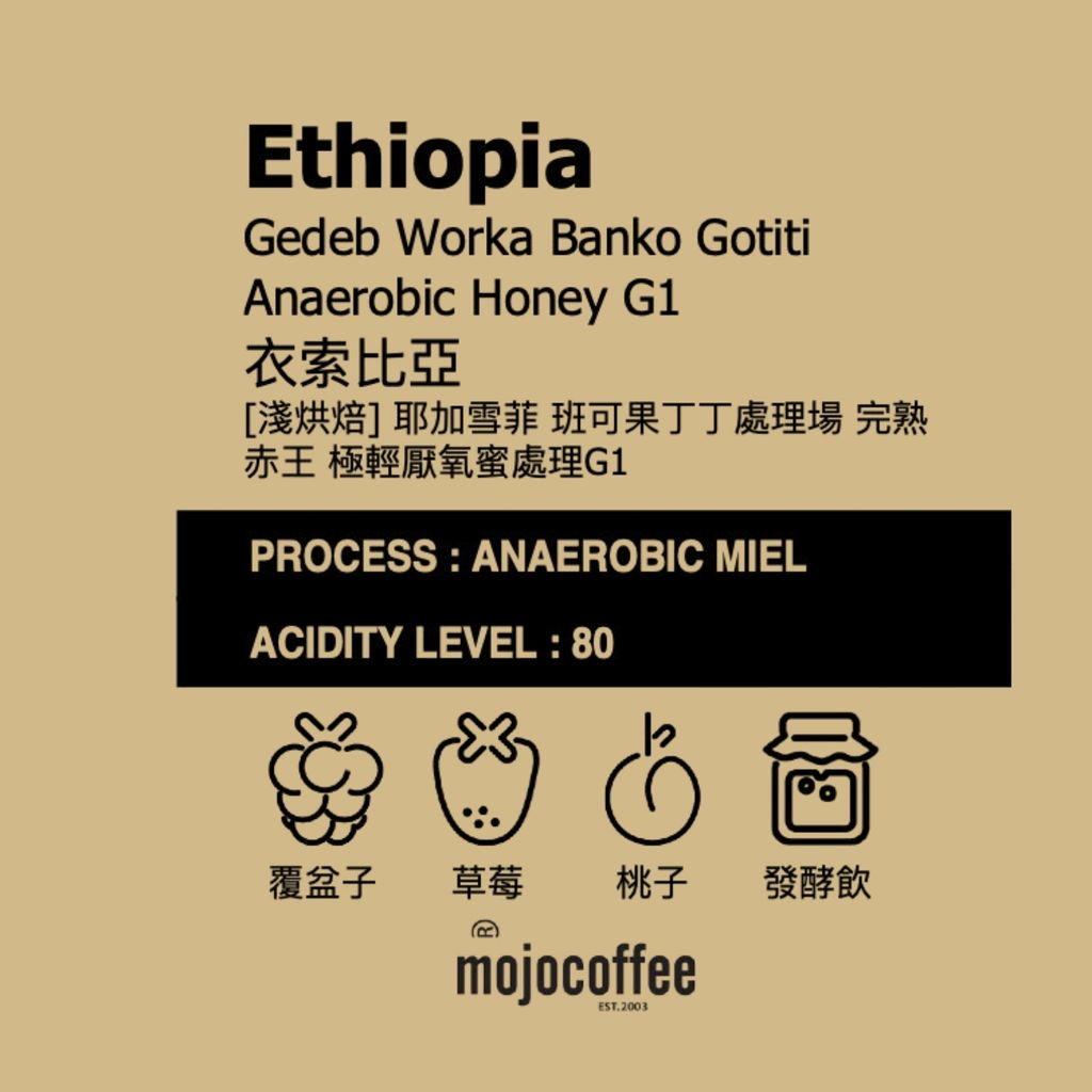 LINE_ALBUM_2026.2.12_260212_3