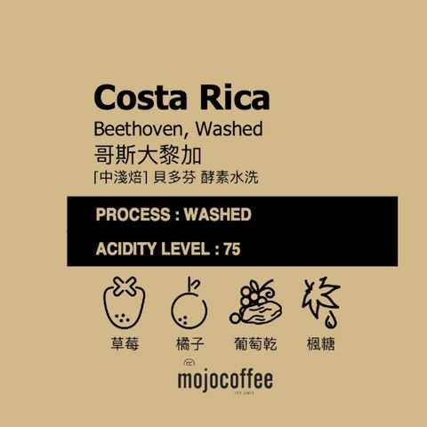 LINE_ALBUM_2026.2.12_260212_4