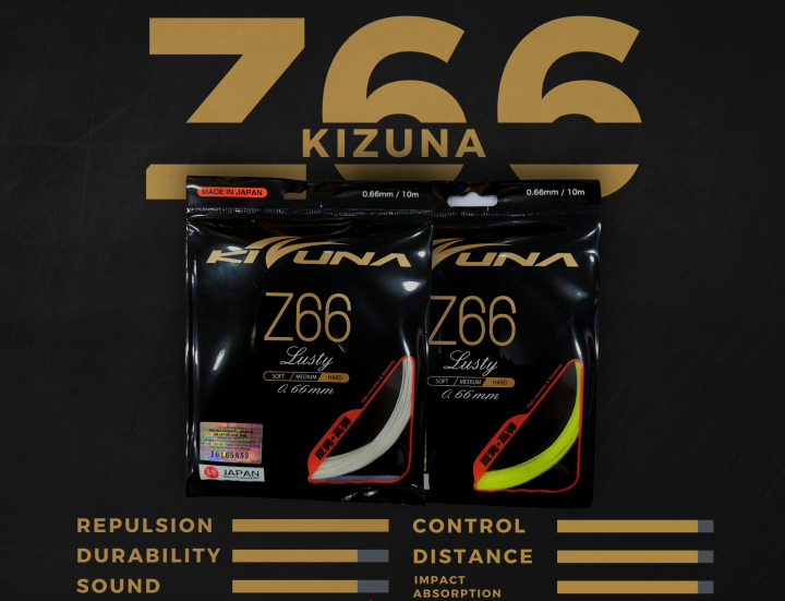 kizuna z66 2