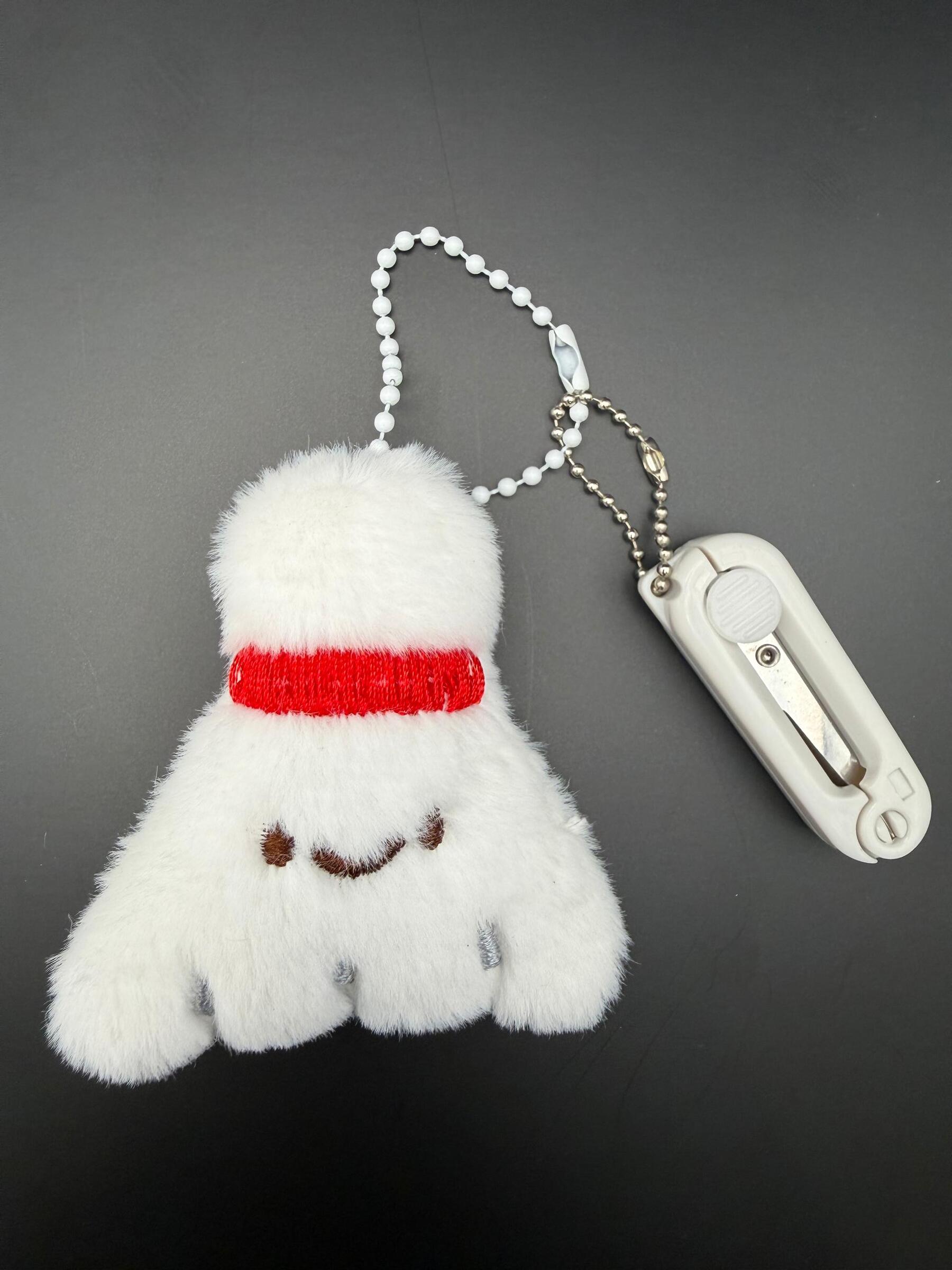 WhatsApp Image 2026-01-25 at 5.35.46 PM (6)