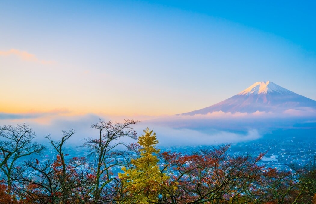 人因擁有夢想而幸福，實現她，不懼罣礙!