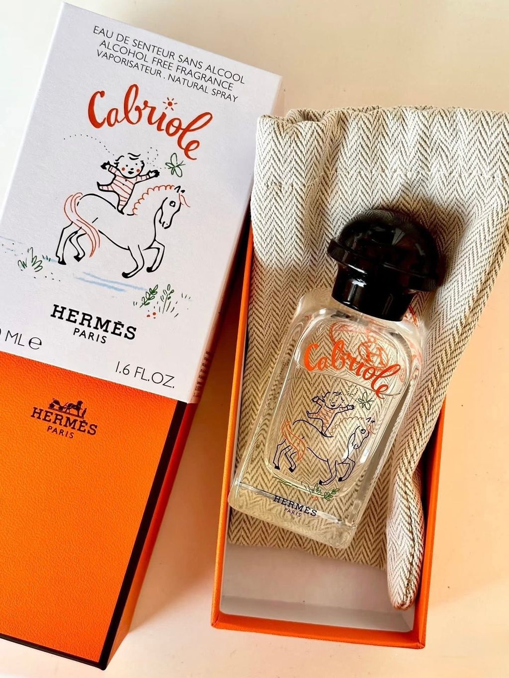 image_C191E49F-45E0-4AAD-86A0-7019D99689EE_1767885078