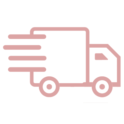 Same-Day Delivery Icon