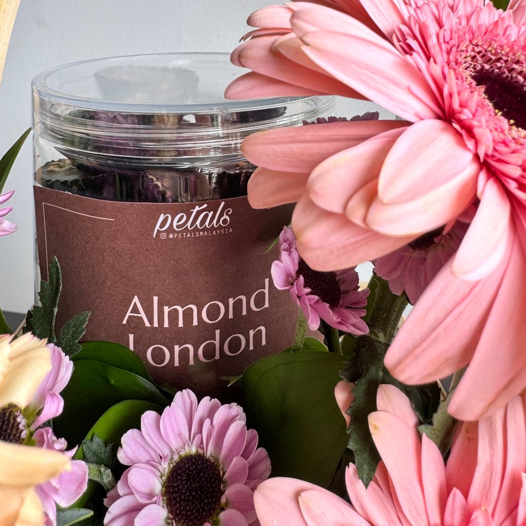 image_B6074A0E-1902-4928-BFC3-A67A342ABBCA_1773035203