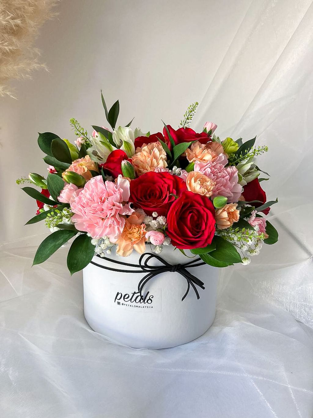 image_A6B81E36-A1F8-428A-8244-3D03023CA1CD_1760430041