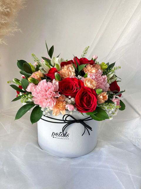 image_A6B81E36-A1F8-428A-8244-3D03023CA1CD_1760430041