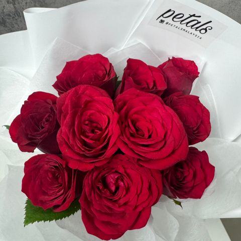 image_6817ACE4-5E6F-45D3-9404-24D01177AC34_1761214950