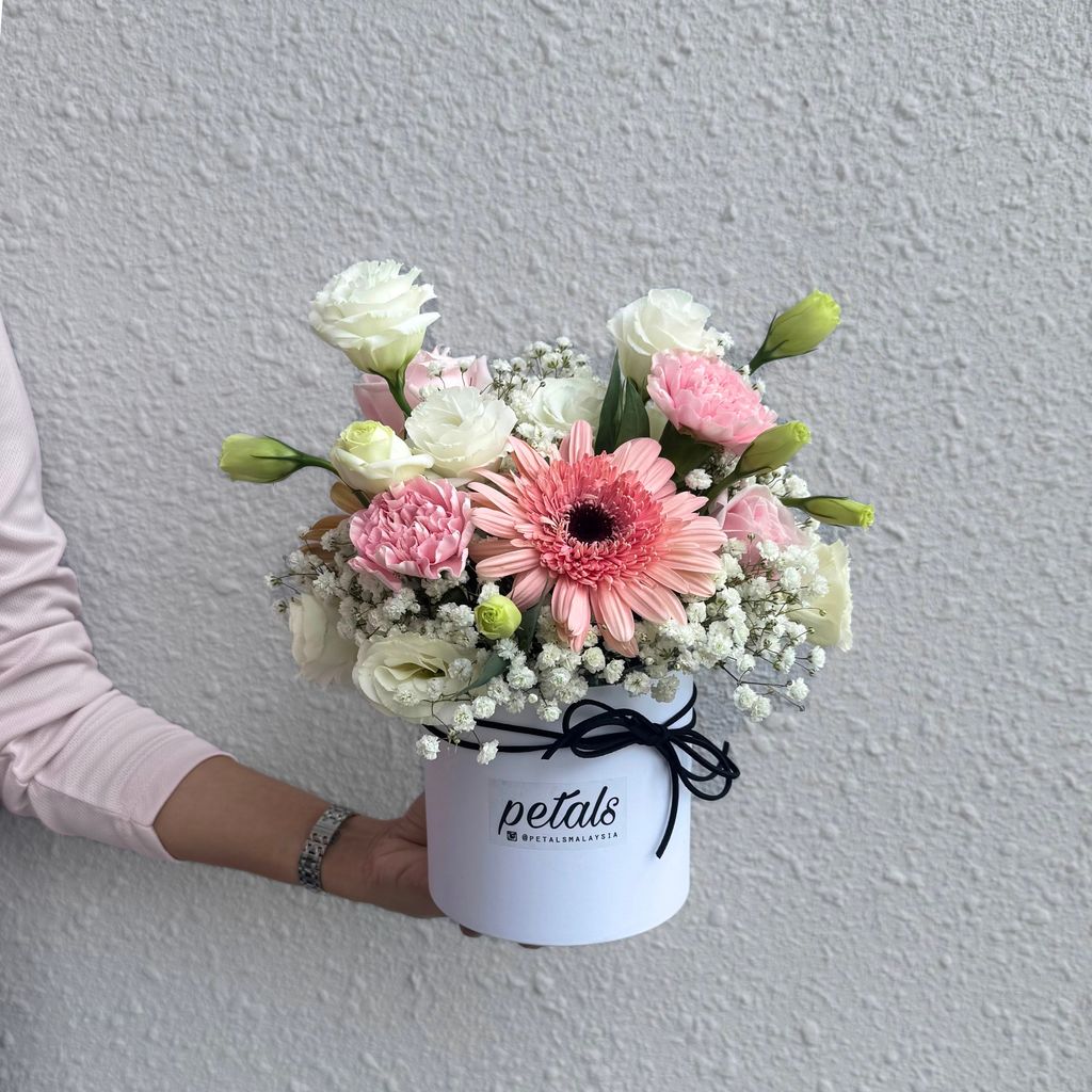 image_85D39F47-5397-4007-9723-1C671FF1A4DA_1762675732