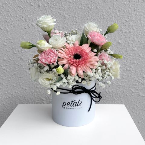 image_66671AA6-0F5B-491B-9EF1-6BDDEB58BB8B_1763691186