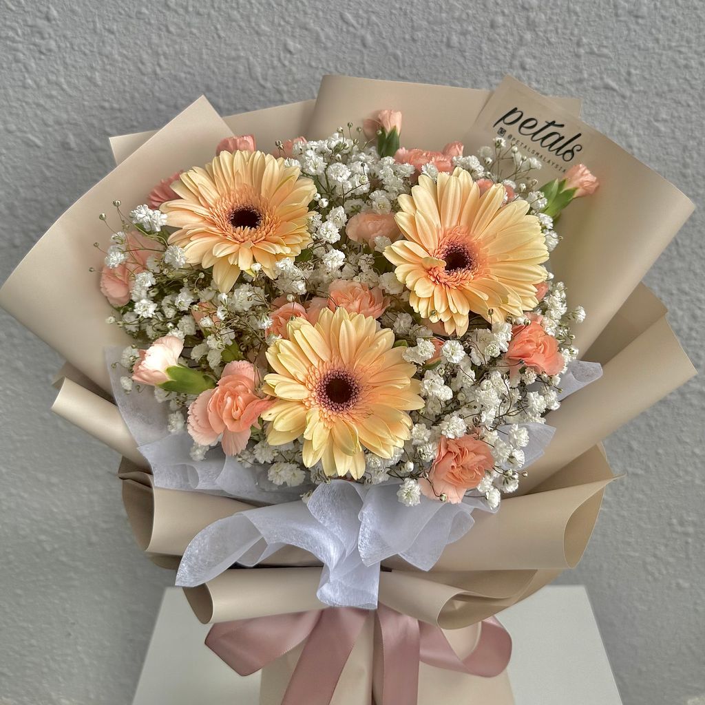 image_DD91D4BD-B839-4C61-9853-D53B8C4DB56B_1766066154