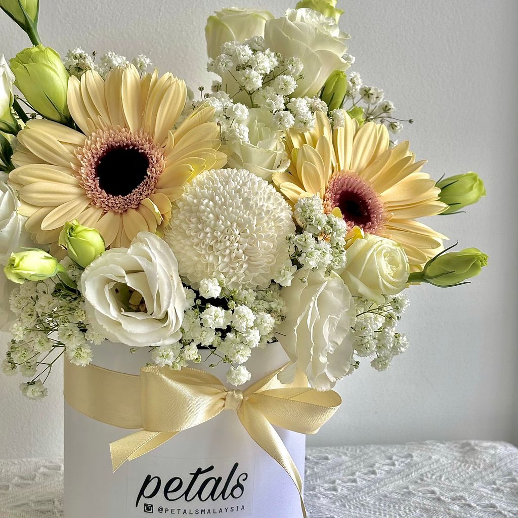 image_FB3E768F-9C68-44DF-9616-AA29634DB26E_1766082547