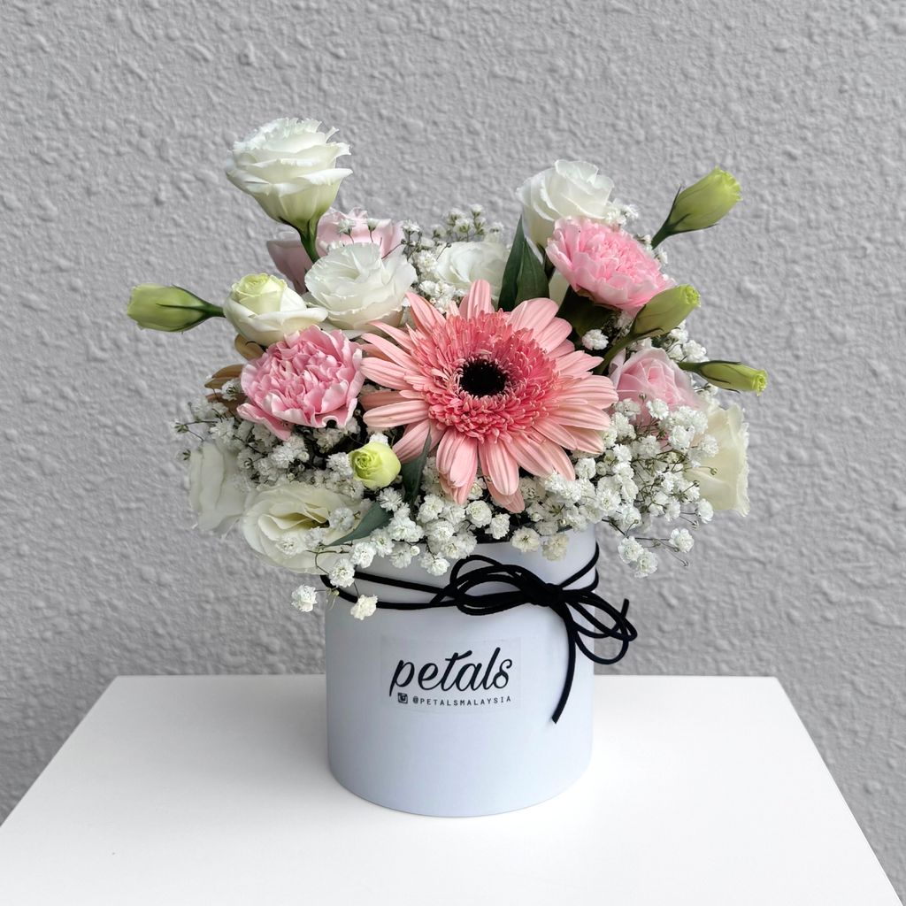 image_B5876DC3-35BC-45A8-BB9C-A20E947BA96D_1766116004