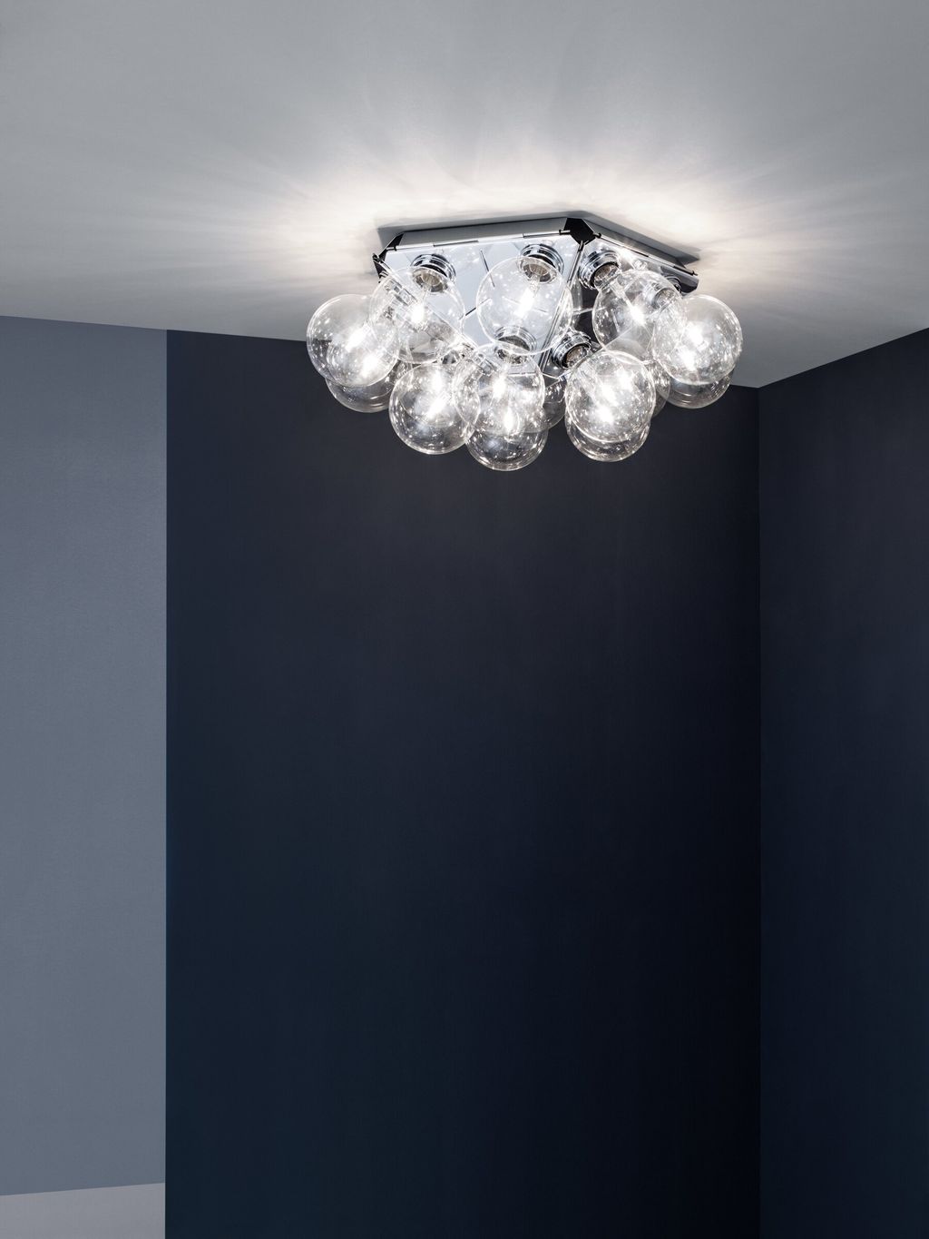 Flos-Taraxacum_88_C_W-PH_Frank_Hulsbomer-001.db3ee361