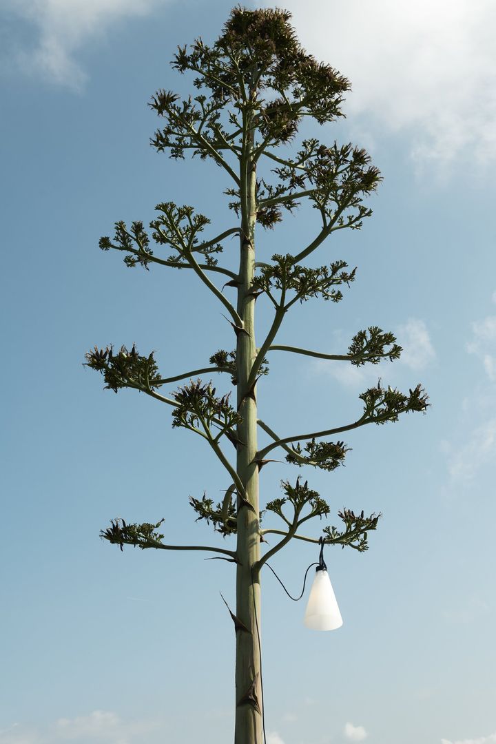 Flos-Mayday_Outdoor-PH_Tommaso_Sartori-2021-004.d70f4792