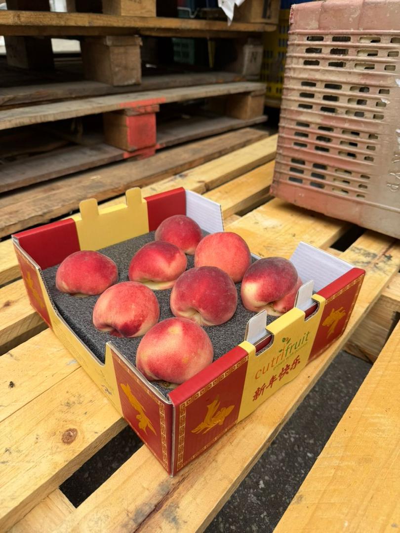 67f0b088-196e-447b-8167-d9461d44ae93