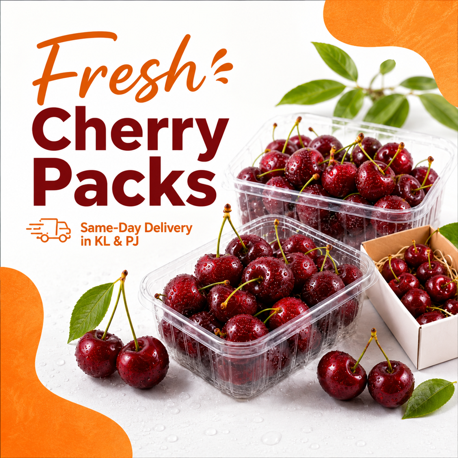 https://cdn.store-assets.com/s/1418415/f/17371275.png