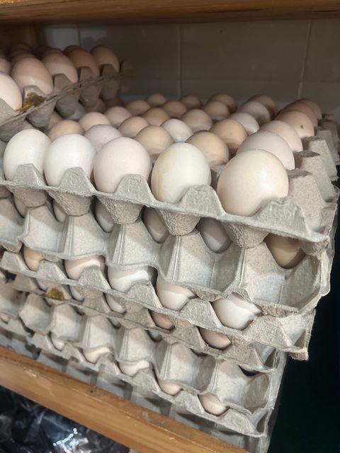 image_picker_4D1A6A37-FEC7-43BC-968D-53F67CE55FC8-13641-000005CC2960E0E6