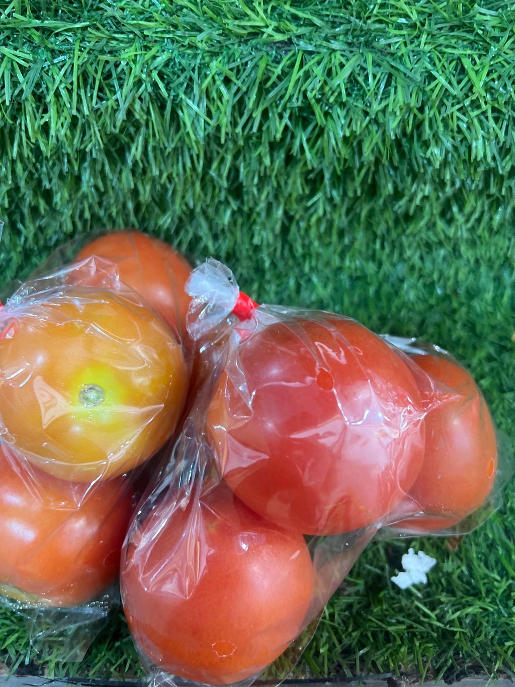 image_picker_5176BFF5-D974-4209-A21F-32A9B2D09B8E-13641-000005D2D0CA7DC0