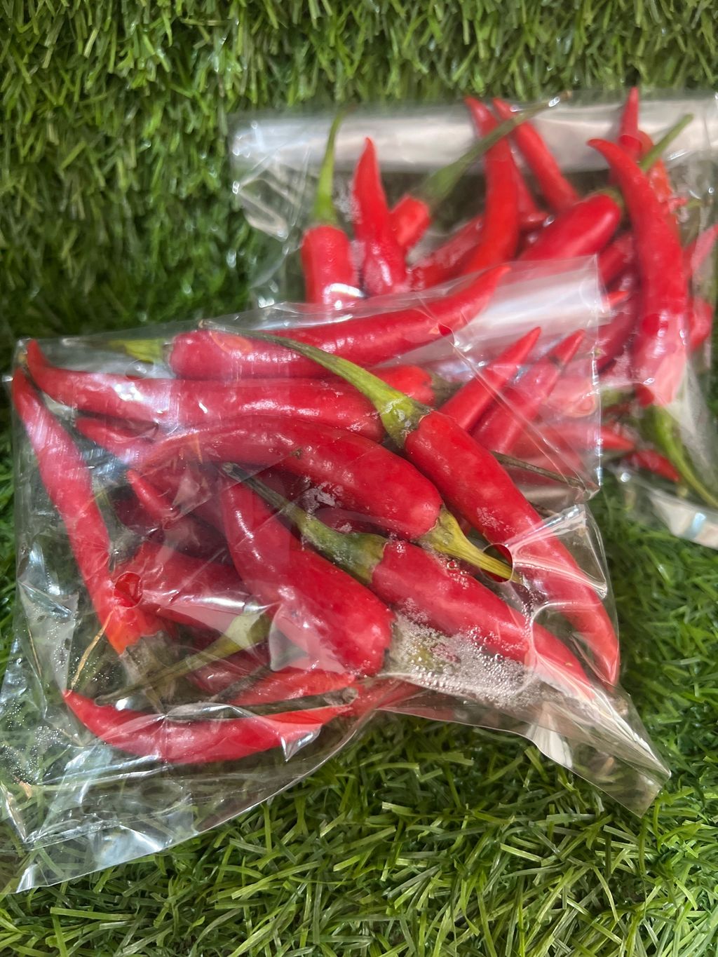 image_picker_E8EBFC69-6A18-447E-BDD5-9942067035BE-13641-000005D38ECD36C2