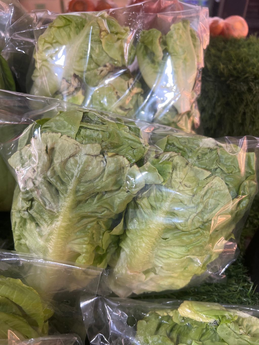 image_picker_AC4B7365-1FBD-4C87-A387-4BBAFD7D9665-13945-000005D4C0F4FA7C