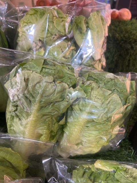 image_picker_AC4B7365-1FBD-4C87-A387-4BBAFD7D9665-13945-000005D4C0F4FA7C