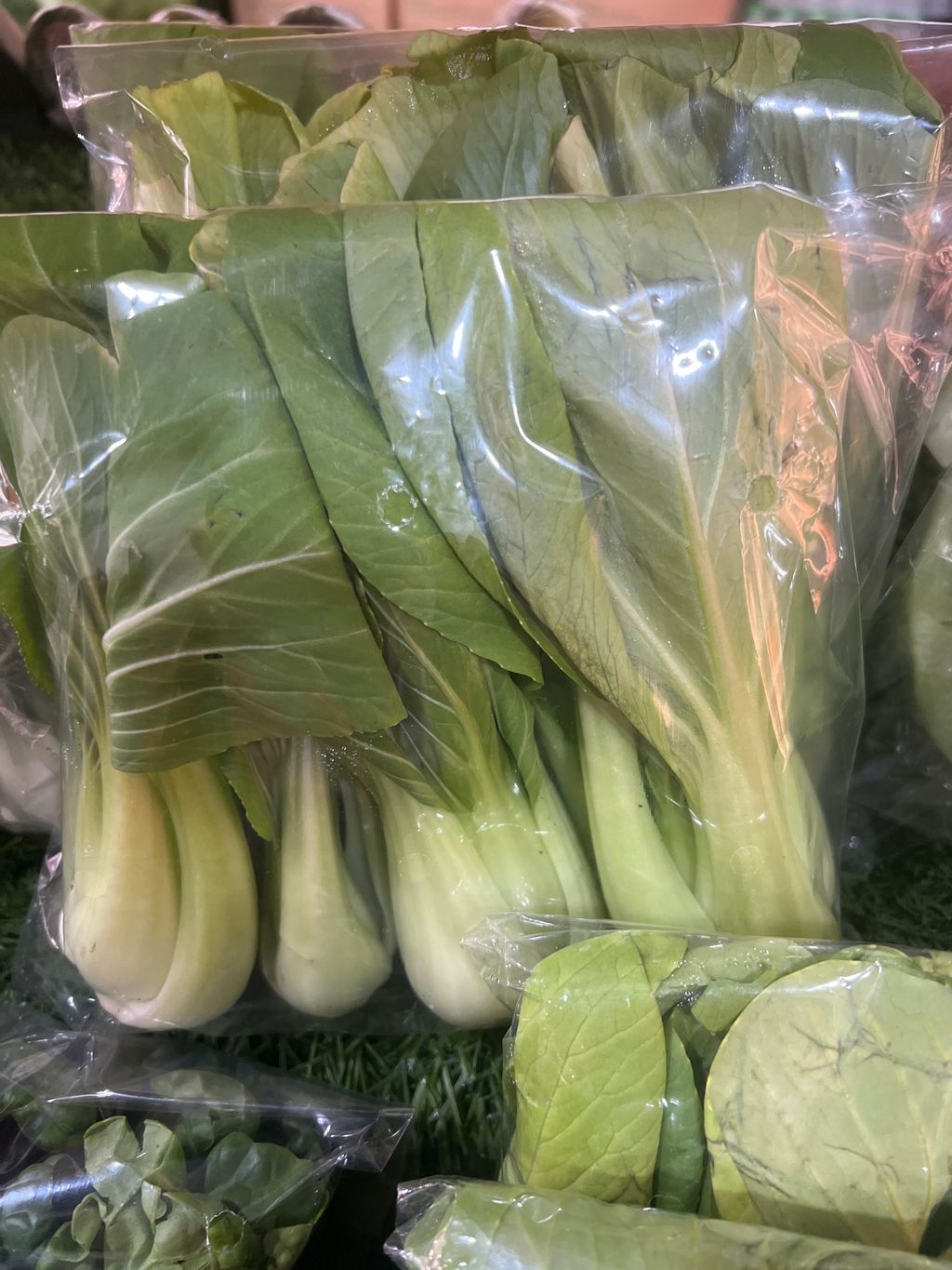 image_picker_E5FCF79D-95F6-483D-B201-4E05D5103A44-13945-000005D4F5C19DCE