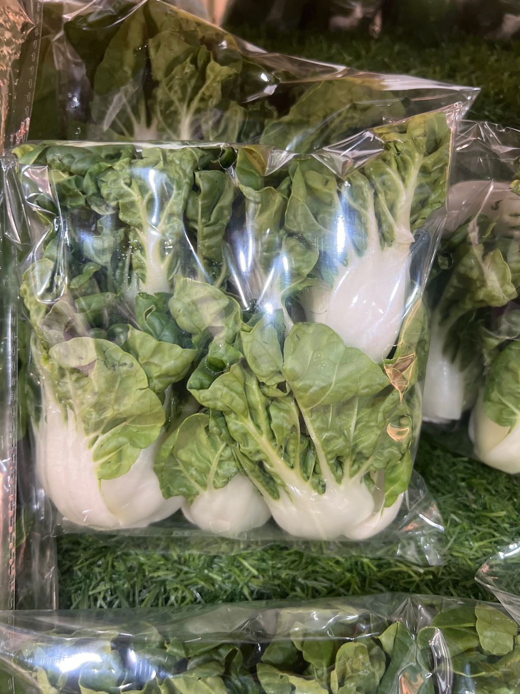 image_picker_22CB9DED-196D-4070-8188-53267DE677BC-13945-000005D534089006