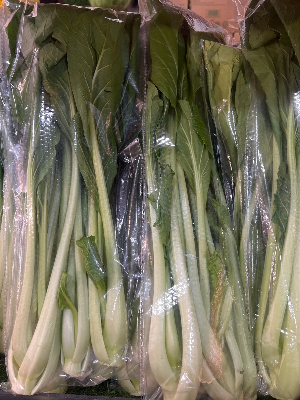 image_picker_BD24BFE6-F49A-49DA-8E7D-B0BF5F8D8FC1-13945-000005D56E2024DF