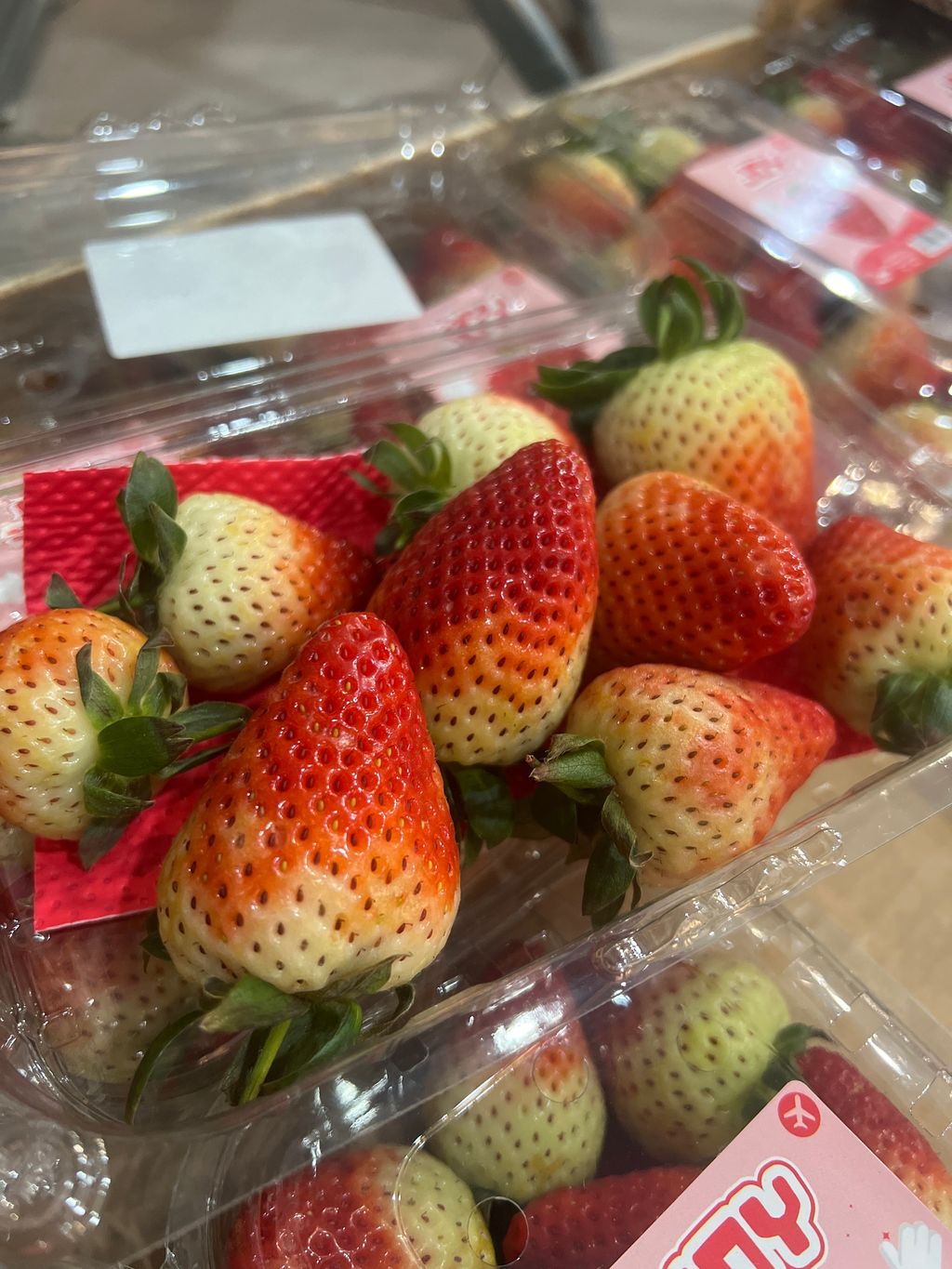 image_picker_DF1ED5BE-FE58-460A-9940-6160930C8A95-4509-00000220564E8927