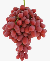 EYGPT CRIMSON GRAPE - fruit basket delivery KL PJ