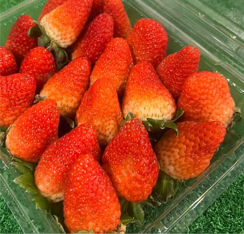 image_8A6961AD-310C-4716-8F06-B199BD198CB8_1761049337