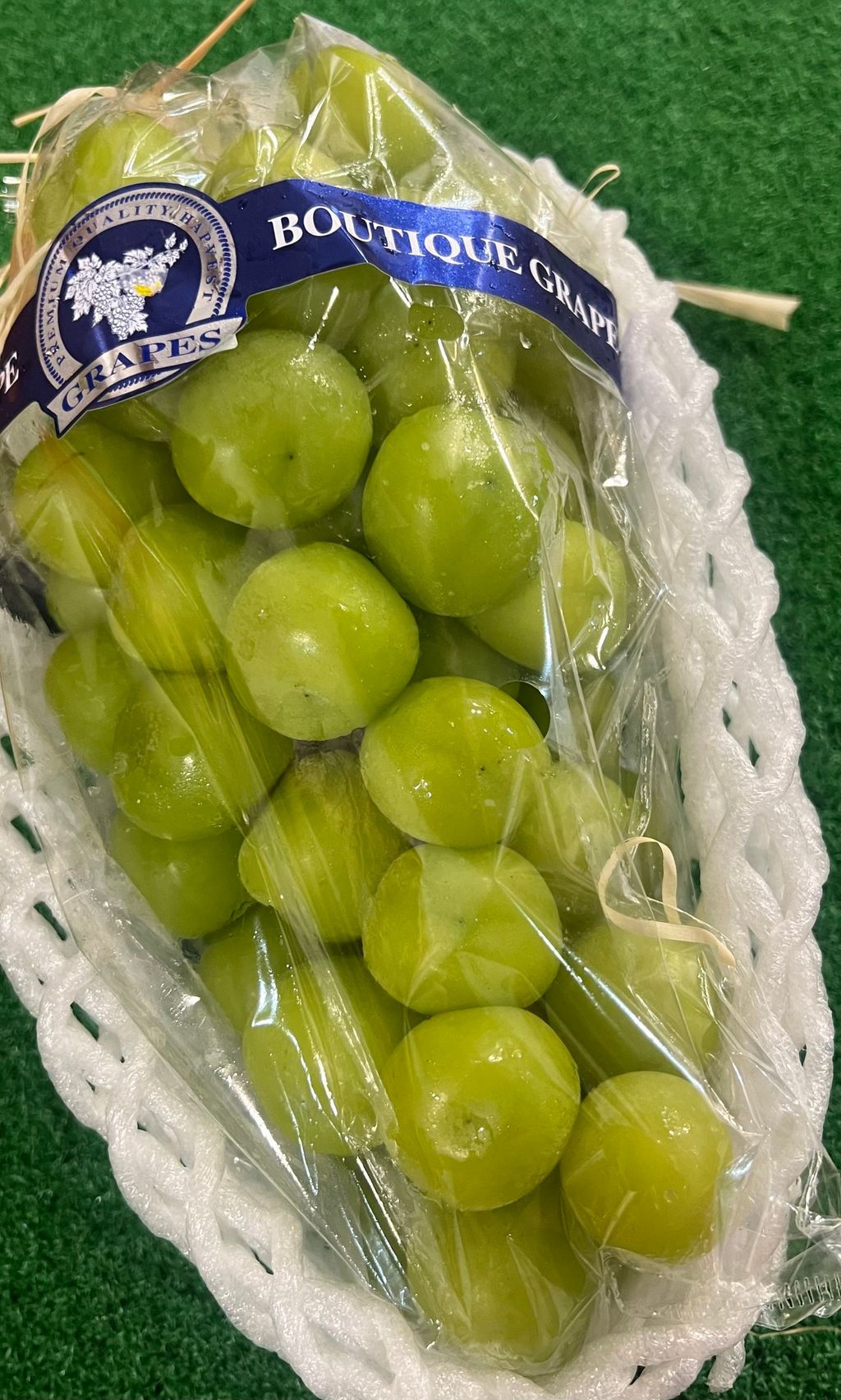 image_A5FE80AA-6A8E-4062-AB1B-2E6CC136A567_1761049437