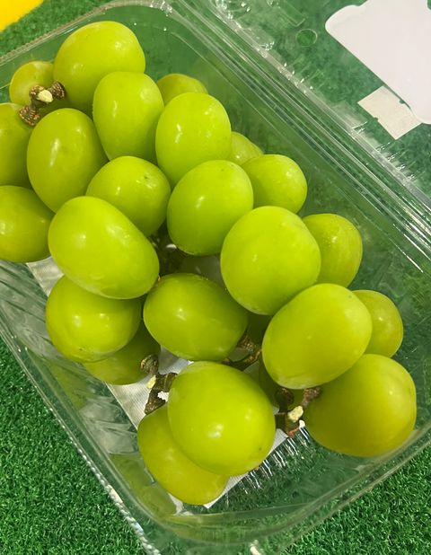 image_C4478EE7-5069-48D2-85BB-AB9A1456D219_1761049437