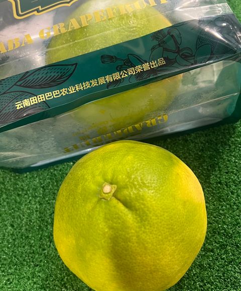 image_18A02E35-52DA-4D0D-A7FD-B288FE23AA21_1761049526