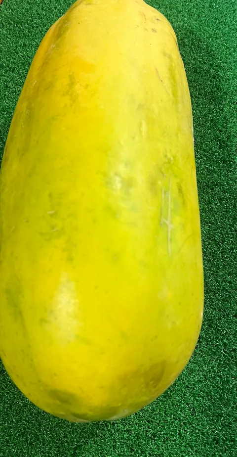 image_D07B5616-7868-4CCC-9317-1918A2F44679_1761049868