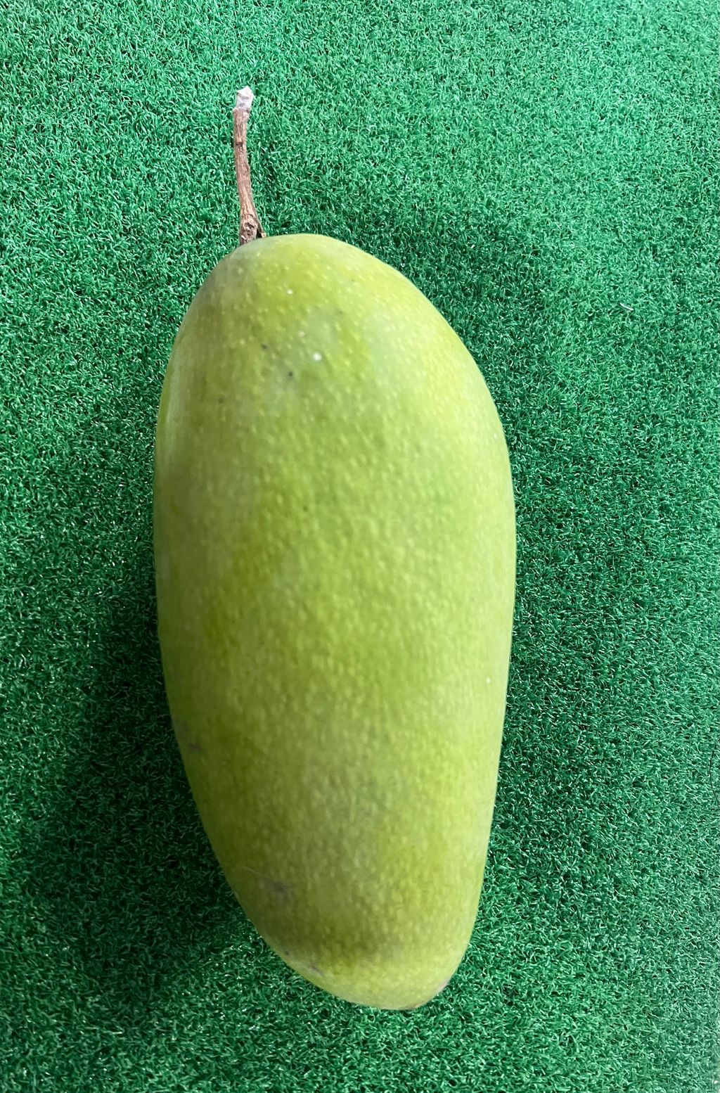 image_D4CC0690-6598-43C4-A8C9-B61FCAFD27DD_1761049892