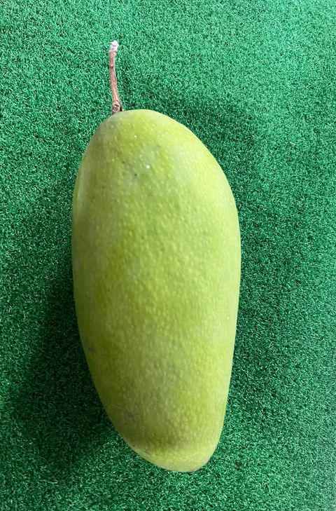 image_D4CC0690-6598-43C4-A8C9-B61FCAFD27DD_1761049892