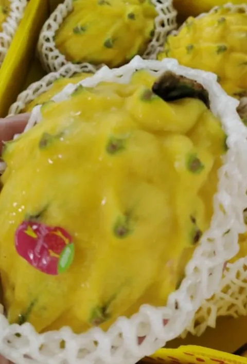 image_6D703184-4A60-4505-9238-B99E0460E2DE_1761050138