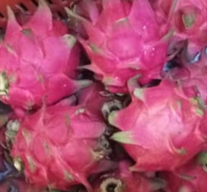 DRAGONFRUIT RED - fruit basket delivery KL PJ