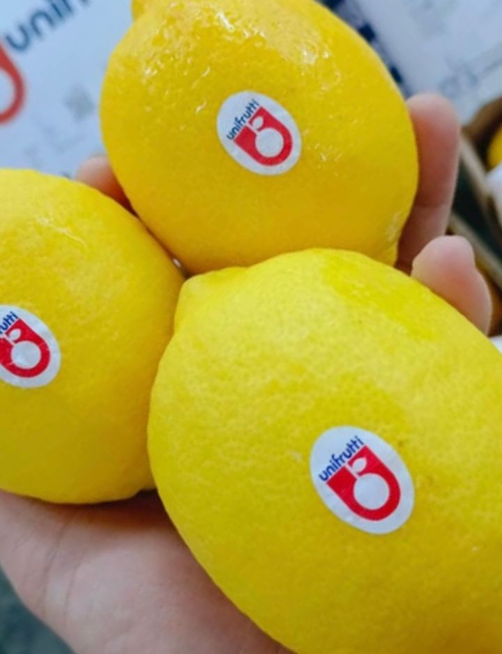 LEMON 5PCS - fruit basket delivery KL PJ