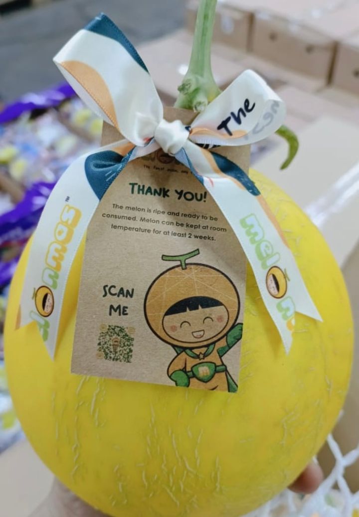 SUNRISE MELON - fruit basket delivery KL PJ