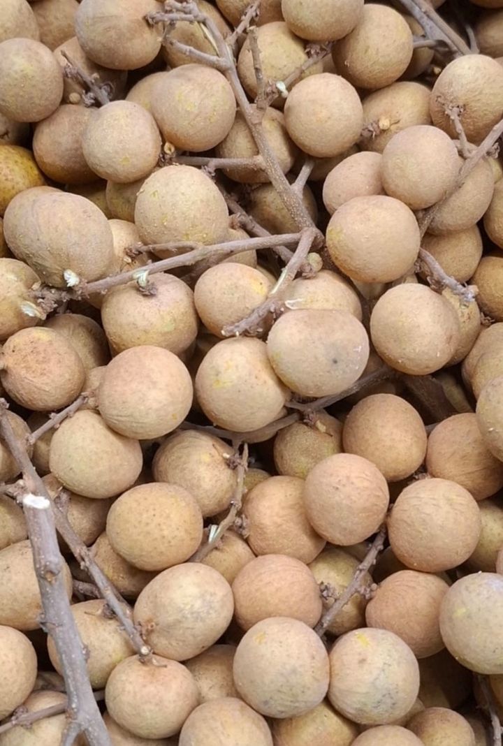 Thai Longan - fruit basket delivery KL PJ