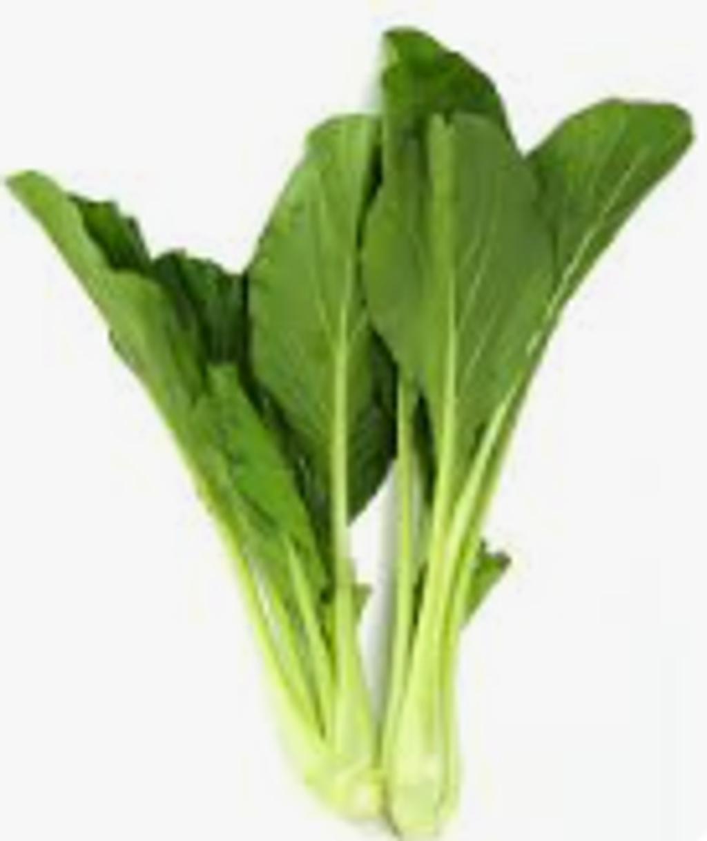 Screenshot 2025-10-23 170116