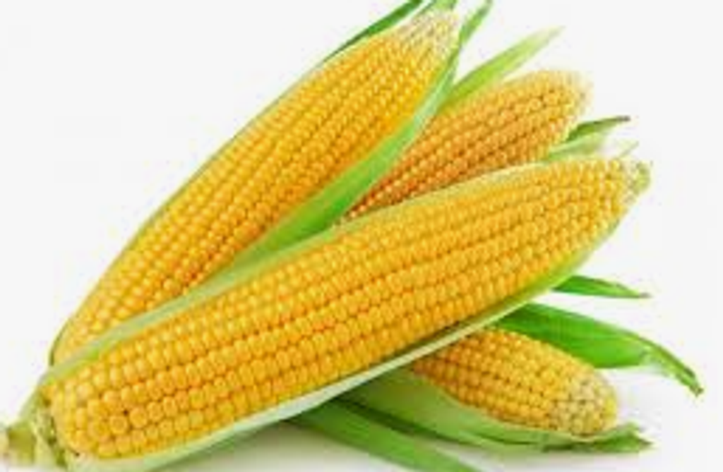 Screenshot 2025-10-23 170443