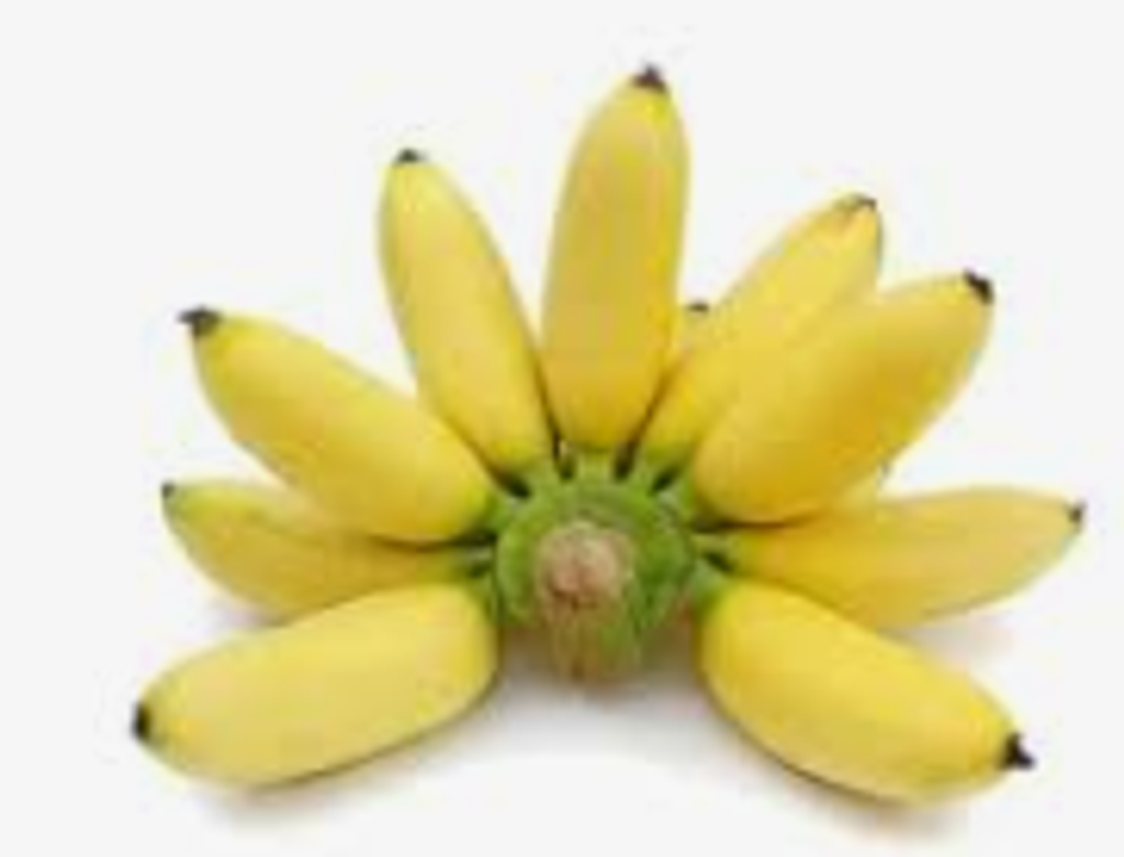 Screenshot 2025-10-23 194027