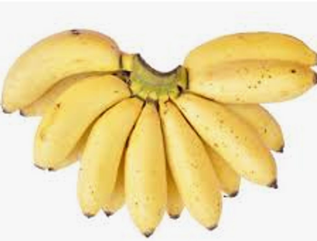 Screenshot 2025-10-23 194113