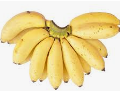 Screenshot 2025-10-23 194113