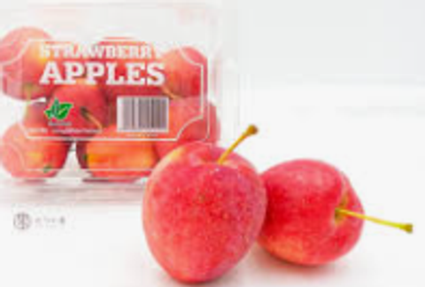 Screenshot 2025-11-04 172859