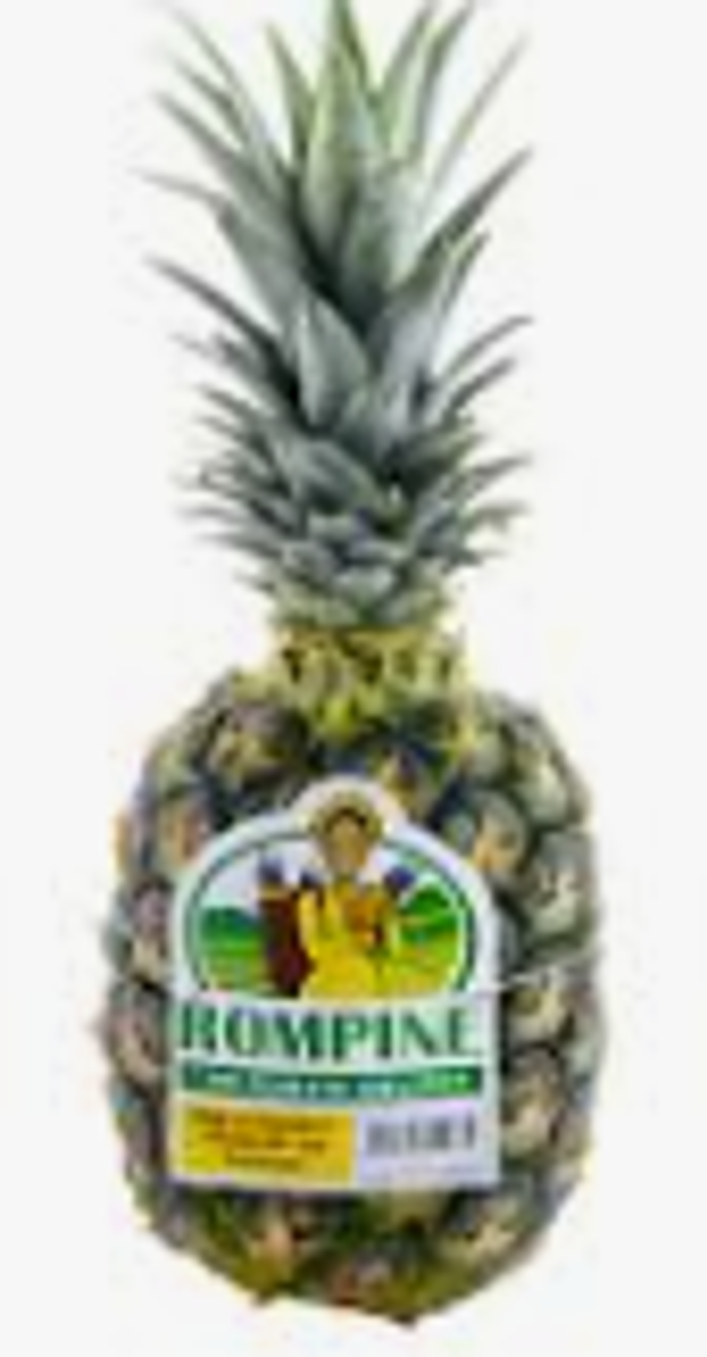 Screenshot 2025-11-04 174529