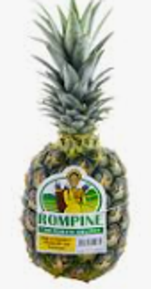 Screenshot 2025-11-04 174529